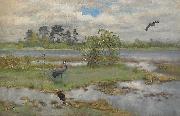 bruno liljefors Landscape With Cranes at the Water oil painting
